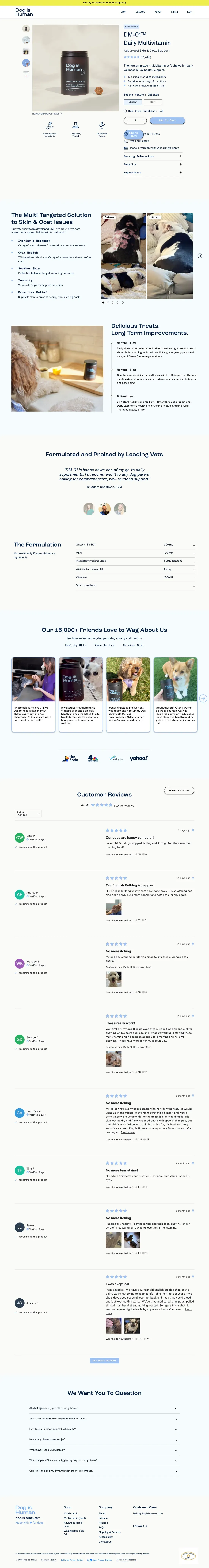 Top of Dog Is Human's landing page